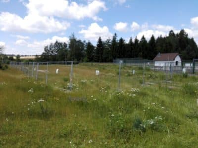 IMG_20170703_135455 IMG_20170703_135455