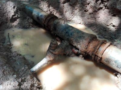 IMG_20170710_131123 IMG_20170710_131123