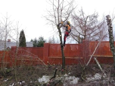 IMG_20171212_090116 IMG_20171212_090116