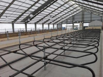 IMG_20171219_102650 IMG_20171219_102650