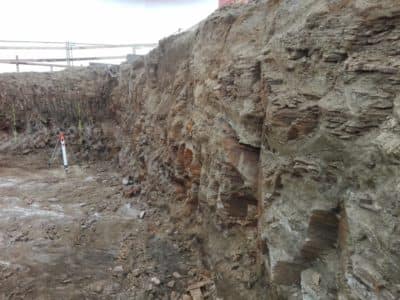 IMG_20180718_103724 IMG_20180718_103724