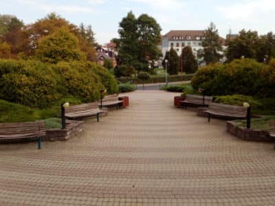 IMG_20180913_093229 IMG_20180913_093229