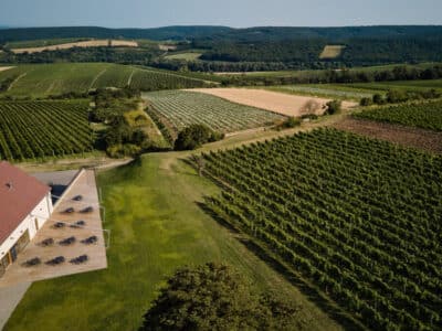 272147088_328974192567639_2084798130068061321_n 272147088_328974192567639_2084798130068061321_n